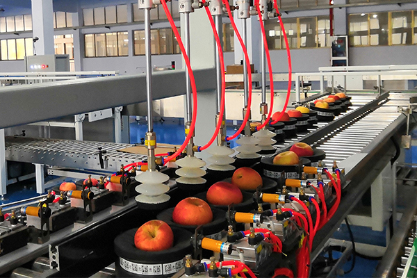 疫情之下中國水果市場發(fā)生轉(zhuǎn)型